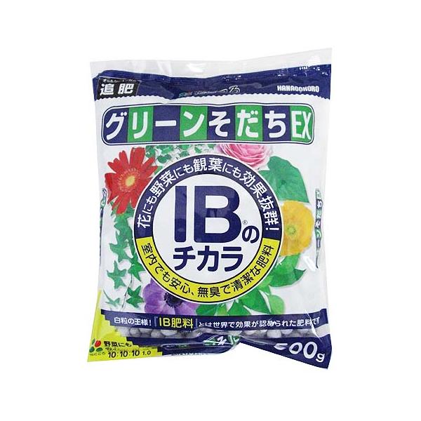 O[EX(엿jIB̃`J 500g