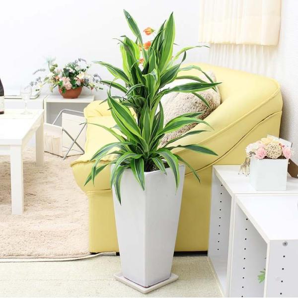 ϗtA IhZi fVX C zCgXNGAA 7 Z^Cv y̕\ʁFϐ