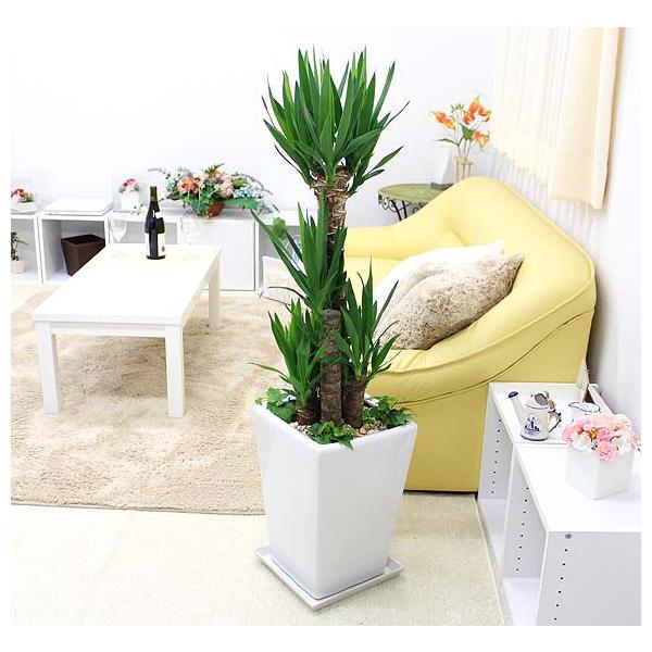 ϗtA@N̖؁ibJj zCgXNGA픫{񂹐A^Cv