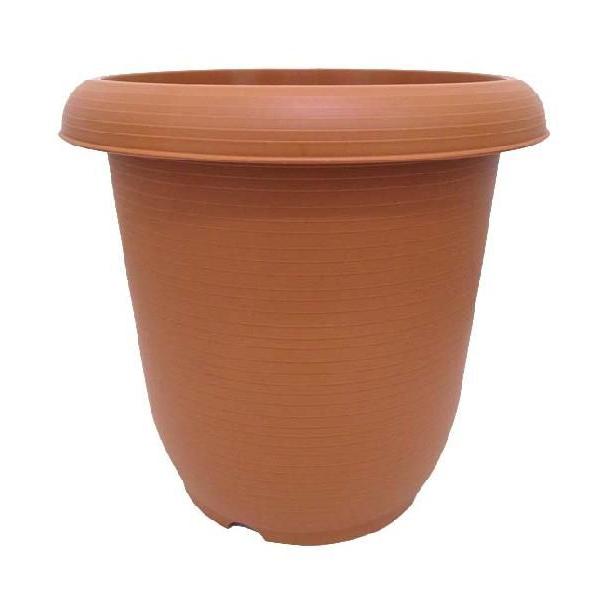 yK[fjOObYzAւp 8iuEj