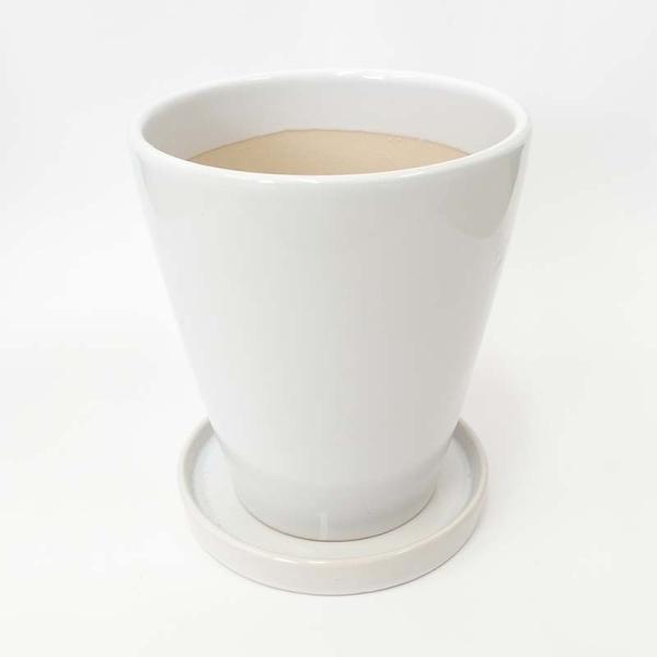 zCg픫 ی` 12cm+퐻̔Mi{+lbgT[rXj