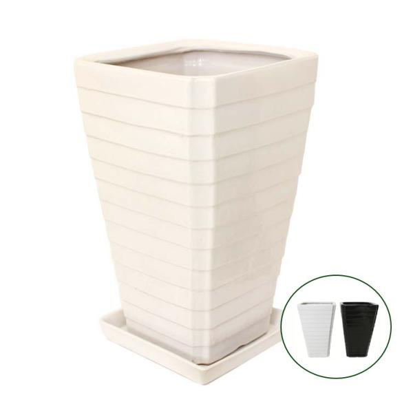 IׂXNGA픫iG^Cvj ij{퐻 M̃Zbgi{+lbgT[rXj