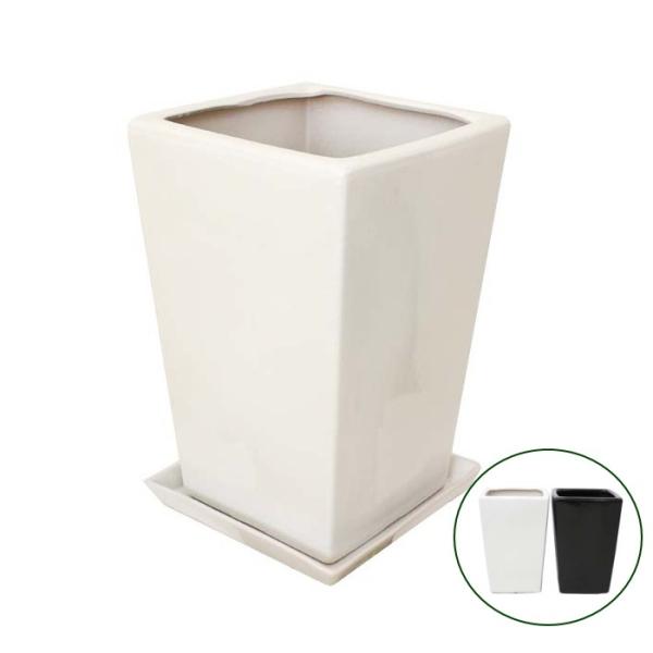 IׂXNGA픫iXg[gj 8p{픫M̃Zbgi{+lbgT[rXj