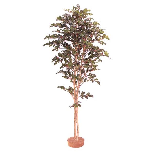 lHϗtAIqCMijiȂj1.8mO ilHj