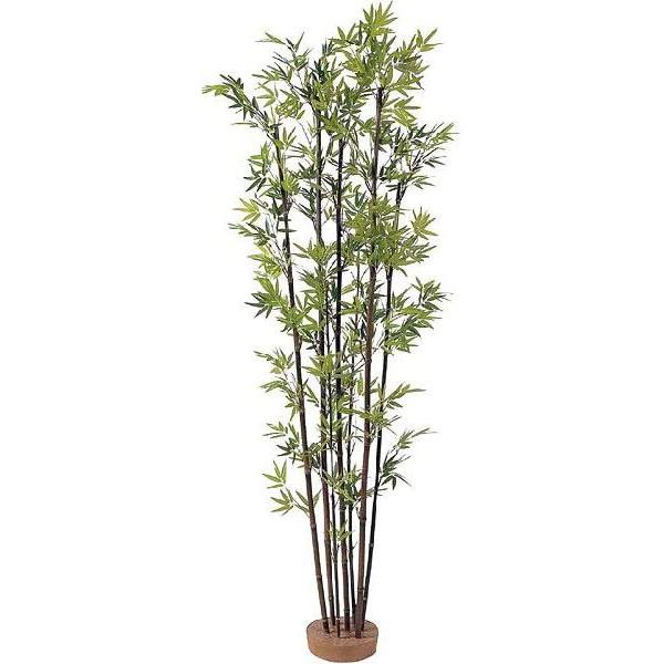 | 7{iȂj1.8mOilHjb͂F@ll