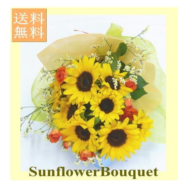 q}u[PM@iq}@Ђ܂jԑy̓ɂ߂łIz