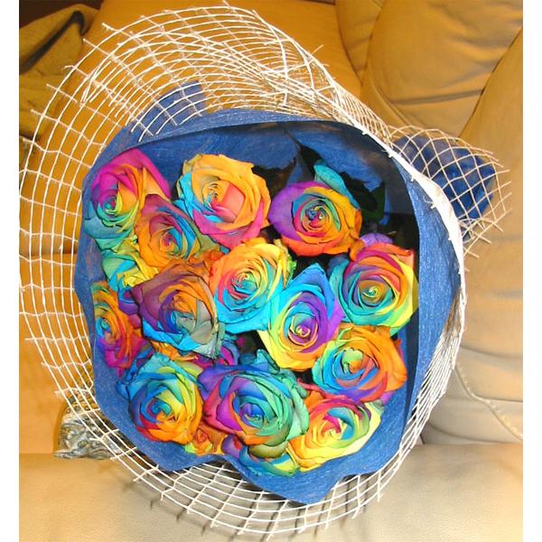 レインボーローズ 花束 生花 Diy 工具の人気商品 通販 価格比較 価格 Com