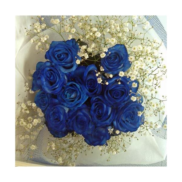 yu[[Yzỏԑ/yCebhu[ u[[YQO{ݑ̉ԑ