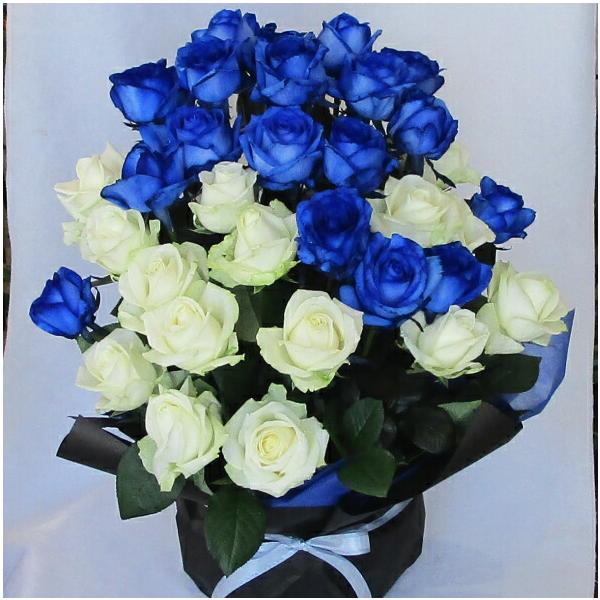bloomart_ba20-2