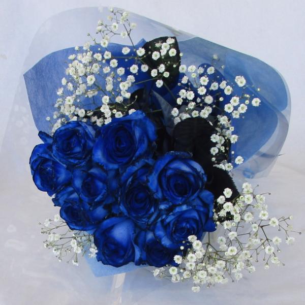 青いバラ/ペインテッドブルー