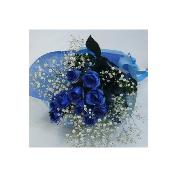 o/Vo[@u[[Y10{&amp;ݑԑy̓ɂ߂łIz