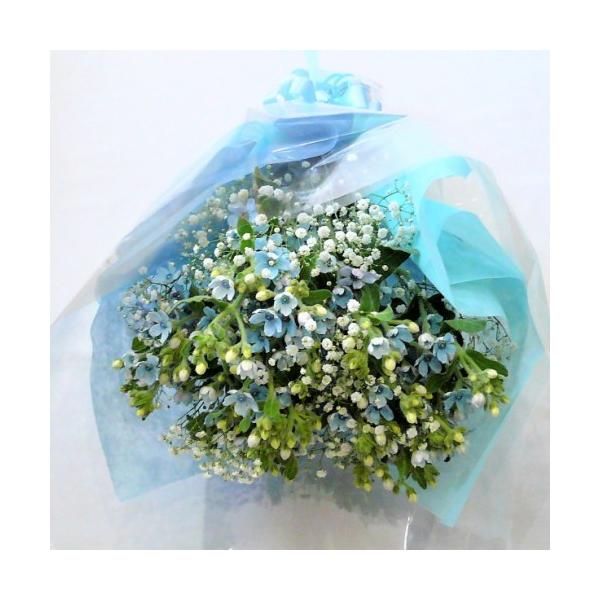中粒多め】かすみ草ドライフラワー✢ミルキーウェイブルー