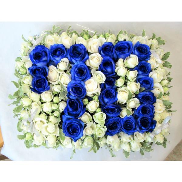 t[P[L o[Xf[io[ u[[Y@Ê̌j