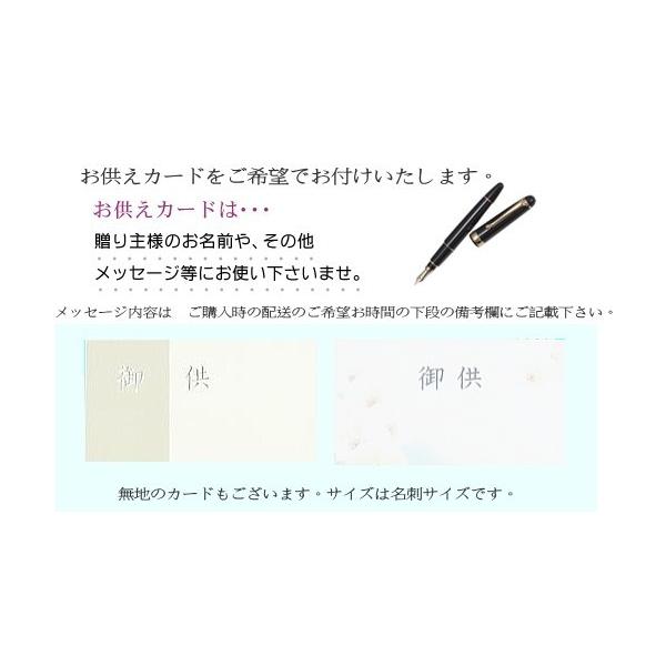 お供えの花/プチガトー 白&ブルー【お悔みの花】【送料無料】小さいお子様やペットのお悔みに 優しく可愛くお供えのお花を作ります。 /【Buyee】 お供えの花/プチガトー 白&ブルー【お悔みの花】【送料無料】小さいお子様やペットのお悔みに 優しく可愛くお供えのお花を作ります。 /【Buyee】