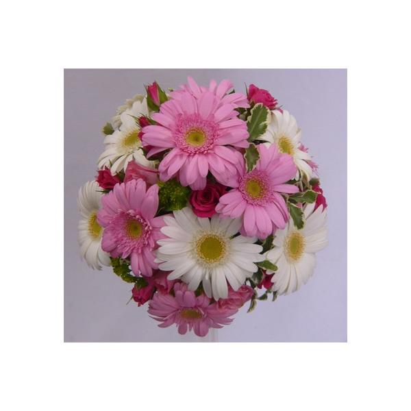 uC_u[P/sNEK[x@Ehu[P@u[gjAt