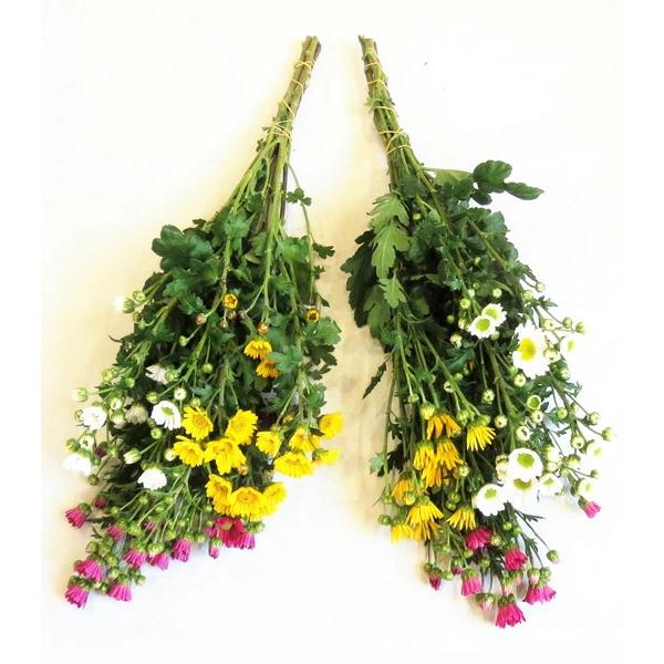 サイズ：全体長さ約40cm