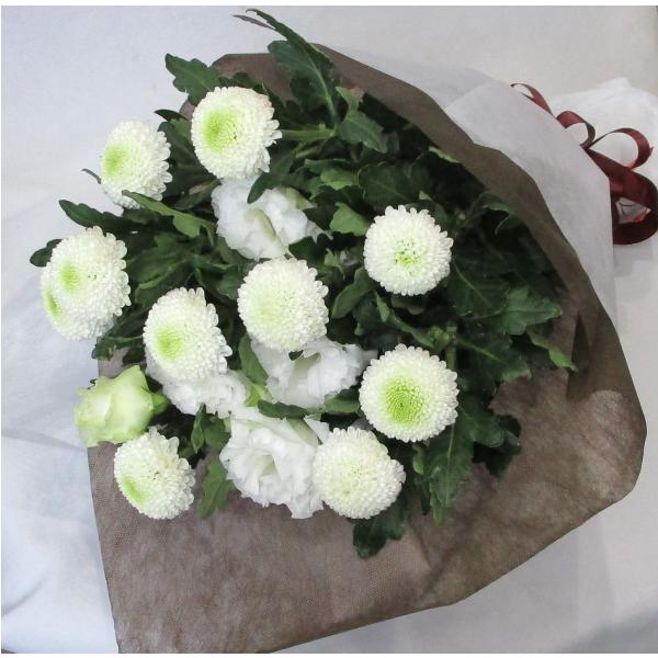 bloomart_ho-12m