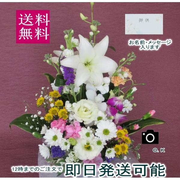 E؂₩Ɂ@ ԁ@~ԁ@   ԁ@ފ݂̉ԁ@