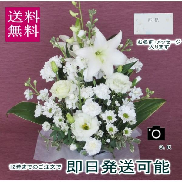 E ԁ@~ԁ@~ԁ@   ԁ@@ފ݂̉ԁ@