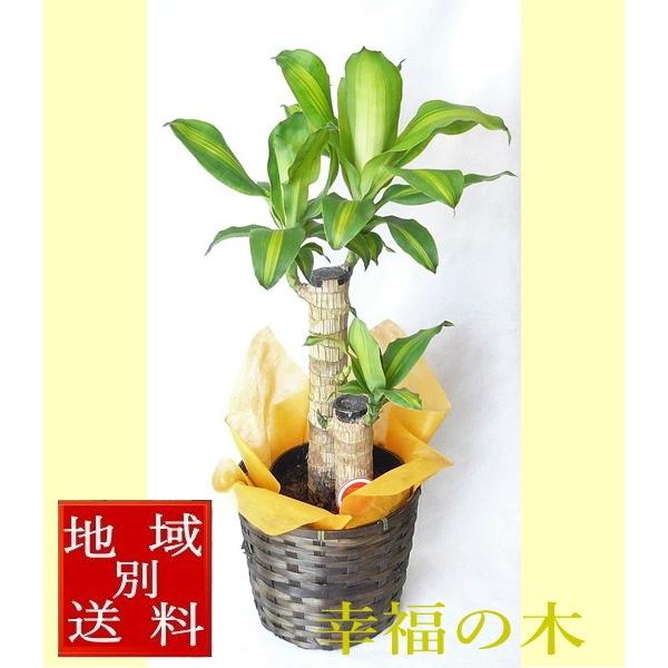 K̖؁@}bT@ϗtA@6 Jo[EMt@ynEBɂ߁Iz