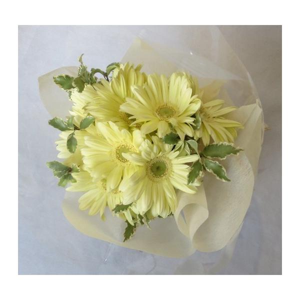 サイズ：長さ：約32cm/横約20cm