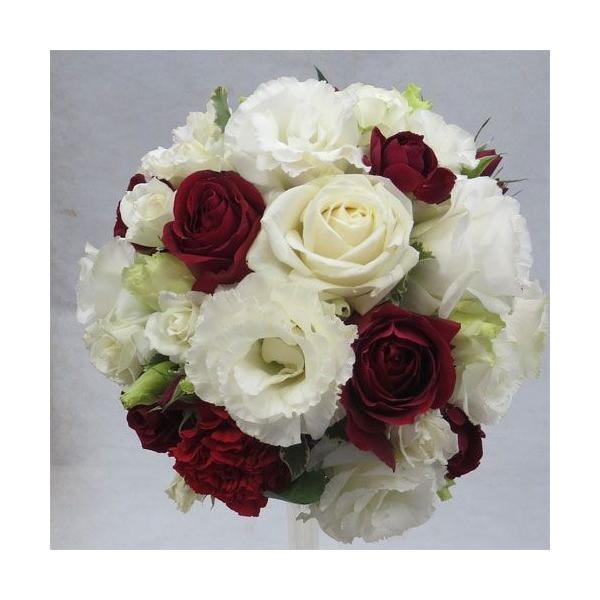 uC_u[P@EGfBOu[P/ԁ@u[P@Ehu[P@zCgbh