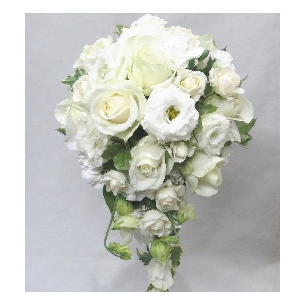 uC_u[P@EGfBOu[P/ԁ@u[P@I[ou[P@zCg@