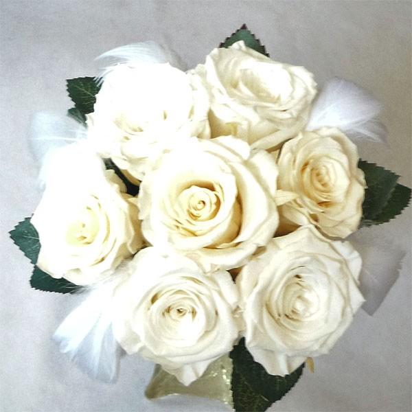 yEGfBOu[PzyvU[uht[u[Pzu[PvY@~ju[P/@zCgAeB[NzCg