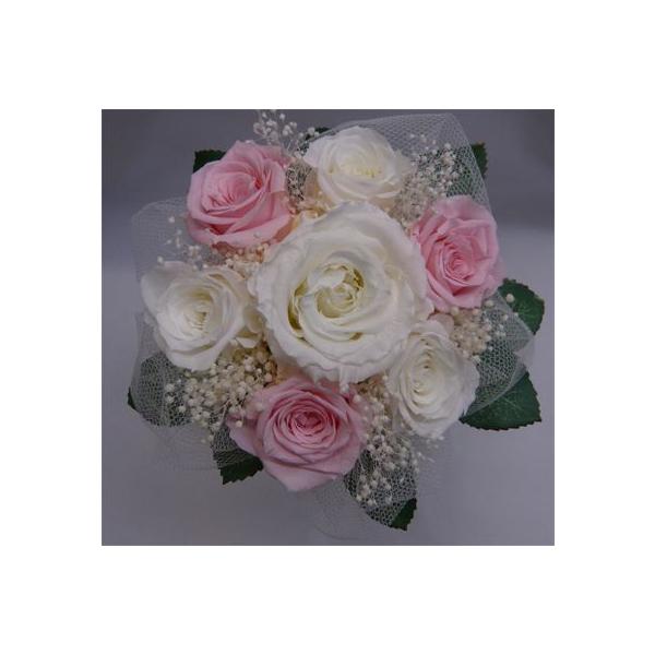 yEGfBOu[PzyvU[uht[u[Pzu[PvY@~ju[P/@sN݂u[P