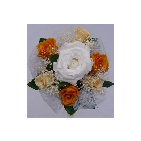 yEGfBOu[PzyvU[uht[u[Pzu[PvY@~ju[P/@IW݂u[P