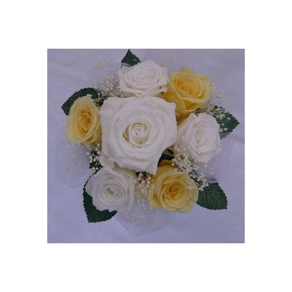 yEGfBOu[PzyvU[uht[u[Pzu[PvY@~ju[P/vYp~j@\tgCG[݂u[P