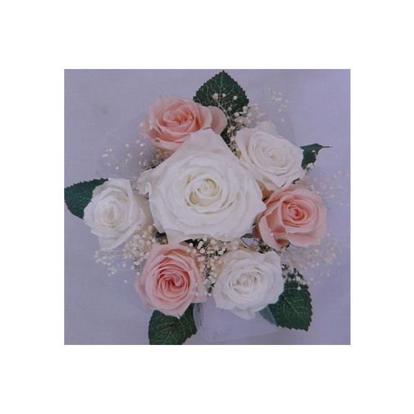 yEGfBOu[PzyvU[uht[u[Pzu[PvY@~ju[P/vYp~j@s[`݂u[P