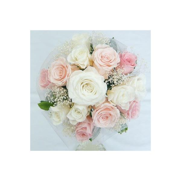 yEGfBOu[PzyvU[uht[u[Pzu[PvY@~ju[P/sNo@ `[ɕ܂ꂽu[P