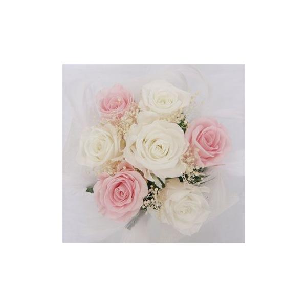 yEGfBOu[PzyvU[uht[u[Pzu[PvY@~ju[P/sNoݑ@it@[j