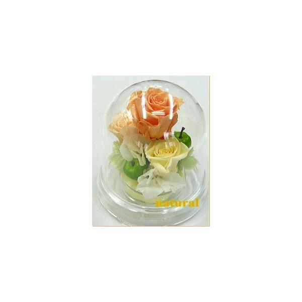 送料無料！プリザーブドフラワー即日発送可能/カプセルフラワー☆ナチュラル【あすつく_東海】