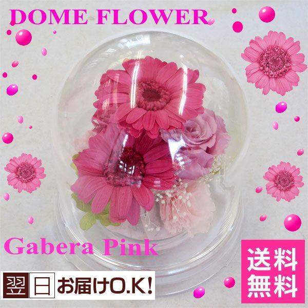 プリザーブドフラワー/ピンクガーベラドーム 誕生日 御祝い : フラワー