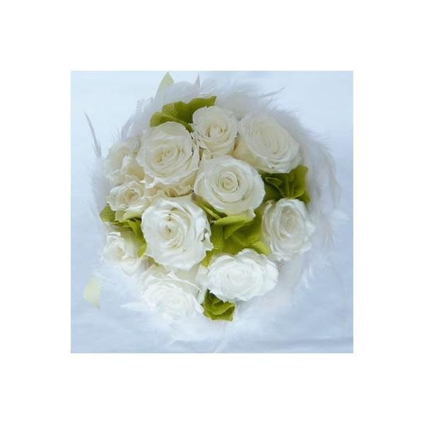 vU[uht[u[P/t@[u[P 28@izCg[YO[j