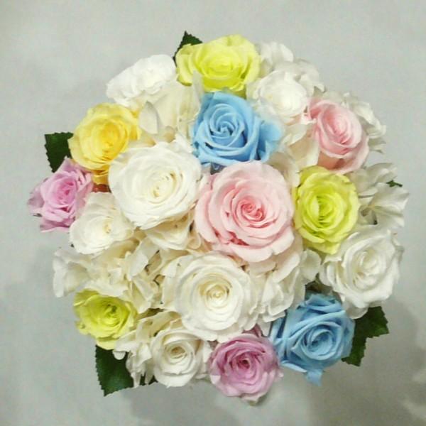 vU[uht[u[P/vU[uht[u[P@pXeJ[Ehu[PyuC_u[PzyEGfBOu[Pz