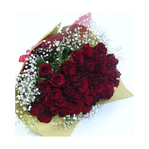 ỏԑ/ԃo60{JX~ԑ@u[P