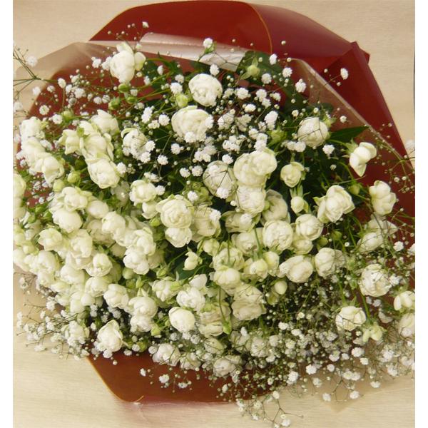 生花 かすみ草の人気商品 通販 価格比較 価格 Com