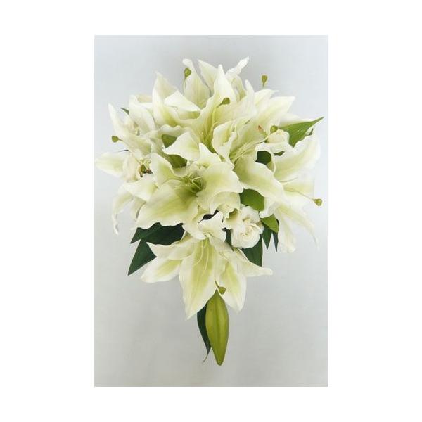 A[gt[kԁlu[P/Z~LXP[hu[P