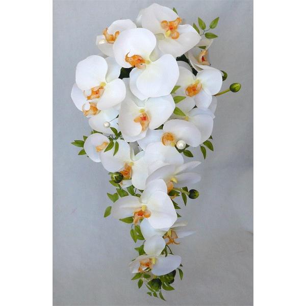 EGfBOԃu[P/ӒLXP[hu[P