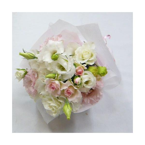 yEGfBOu[PzԃgXu[P/W&amp;Pu[P