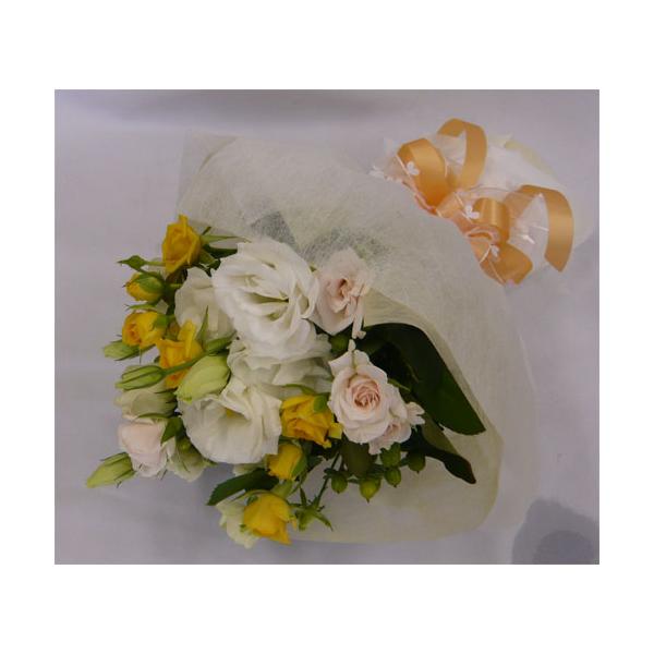 yEGfBOu[PzԃgXpu[P/W&amp;Yu[P