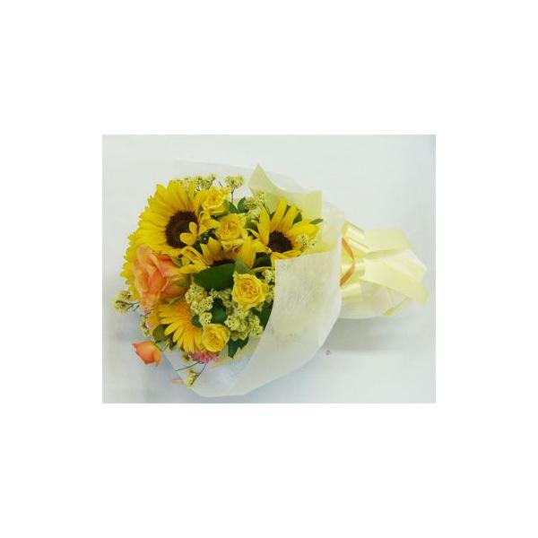 yEGfBOu[PzԃgXu[P/Ђ܂u[P