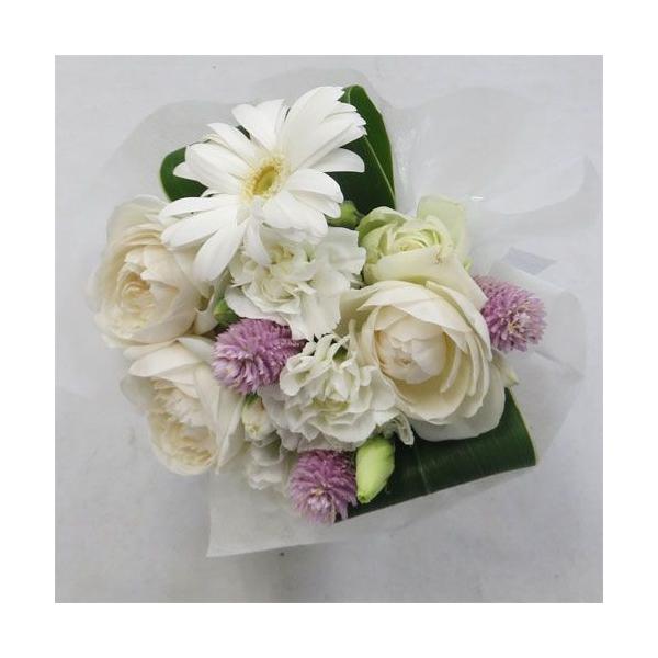 yEGfBOu[PzԃgXu[P/~ju[P3Zbg