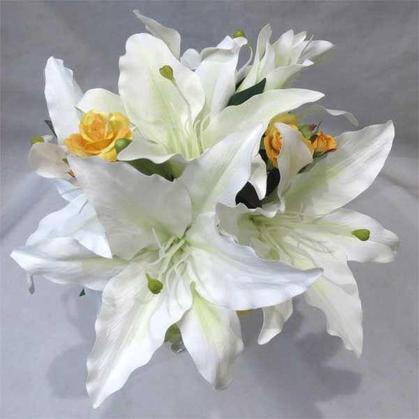 EGfBOu[P@uC_u[P@gXp@~jo