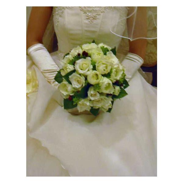 yԃu[PzuC_u[P/oEhu[P