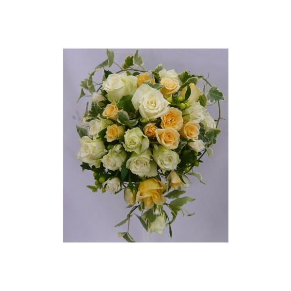 uC_u[P/WoEACr[I[ou[P