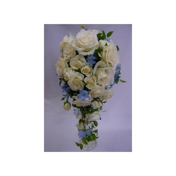 uC_u[P/oEu[ԁ@LXP[hu[P